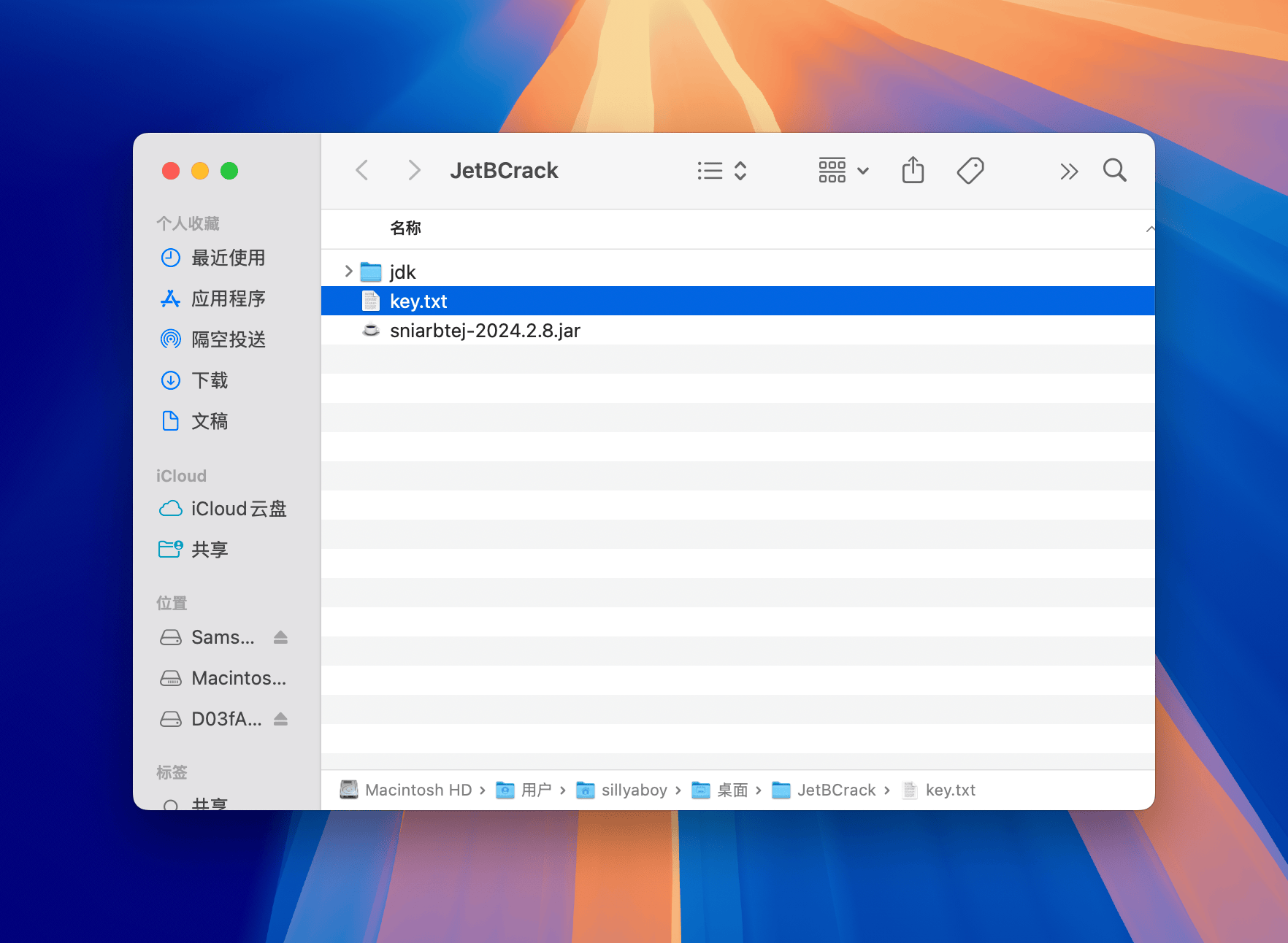JetBrains 2025 系列软件激活汉化教程 软件教程 第4张